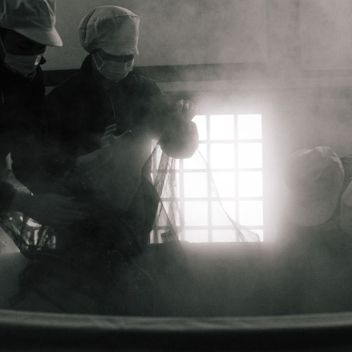 【数量限定】新酒 菊盛 純米吟醸 しぼりたて 720ml <クール便にてお届け>