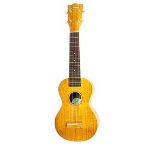 ��Famous��FS-5G ���ץ�Υ�����