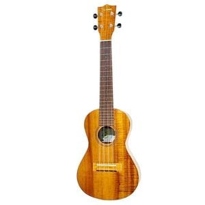 ��Famous��FC-4 ���󥵡��ȥ�����