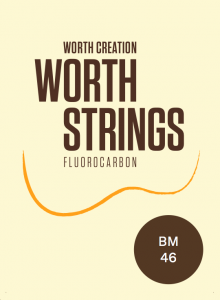 WorthBM (Medium) 