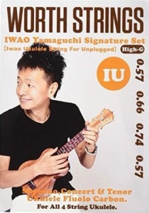 WorthIU (IWAO-Unplugged) 