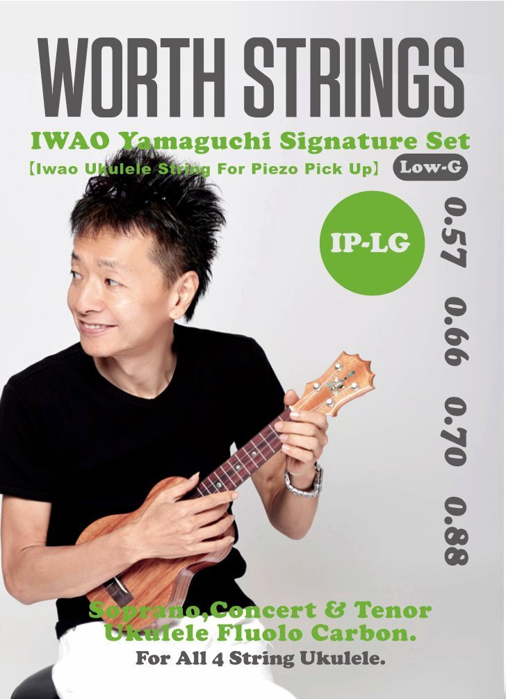 Worth】IP-LG (IWAO-Piezo,Low-Gセット) ｜ウクレレ専門店 KIWAYA公式通販