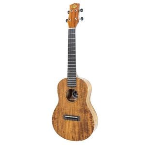 KIWAYAKPT-1K HG ƥʡ