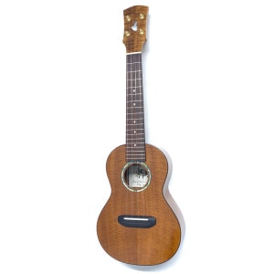 Koichitani UkuleleNo.95 󥵡ȥ