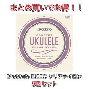 ��D'addario��EJ65C 5�ĥ��å� ���ͥ��ݥ���