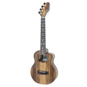 Shimo GuitarsNew Surf 25 #U920 ƥʡ