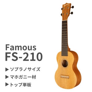 ��SALE��Famous��FS-210 ���ץ��