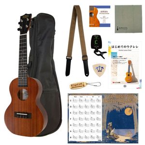 ��KIWAYA��KCU-1 (10�����å�) ���󥵡��ȥ�����