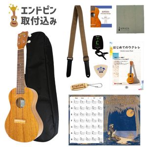 ��Famous��FC-5G (10�����å�) ���󥵡��ȥ�����