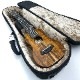Kanile'aK-1S/PG ץΥ