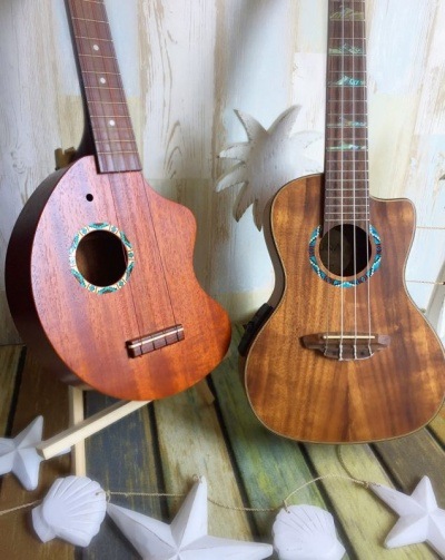 ڥѥƥåۥå ͥƥꥫ  ץѢͥݥ