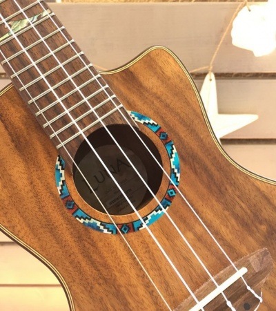 ڥѥƥåۥå ͥƥꥫ  ץѢͥݥ