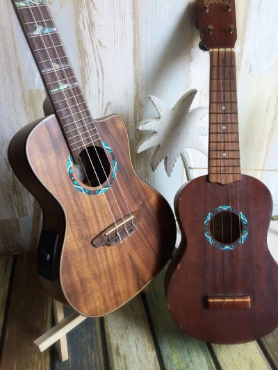 ڥѥƥåۥå ͥƥꥫ  ץѢͥݥ