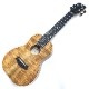 Kanile'aK-1C/PG #28706 󥵡ȥ