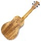 Kanile'aK-1C/PG #28706 󥵡ȥ