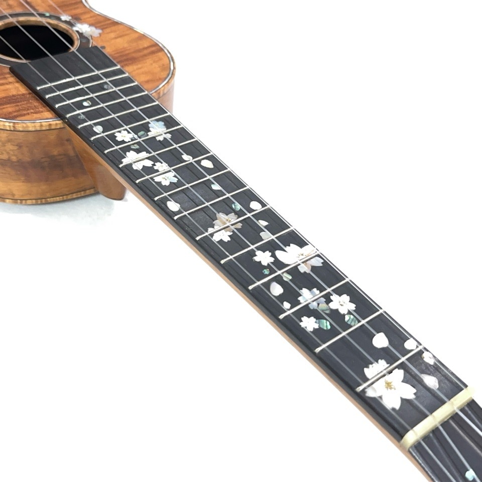 HATTA worksHU-SPL-199 ץΥ󥰥ͥå