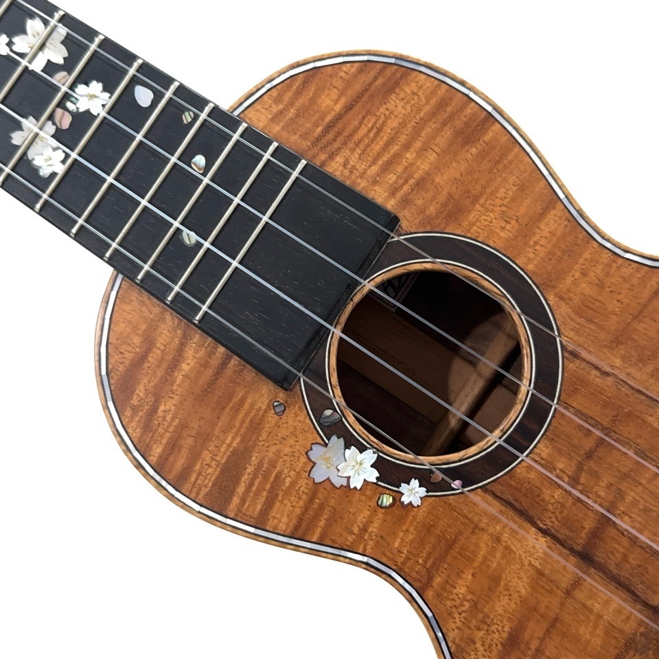 HATTA worksHU-SPL-199 ץΥ󥰥ͥå