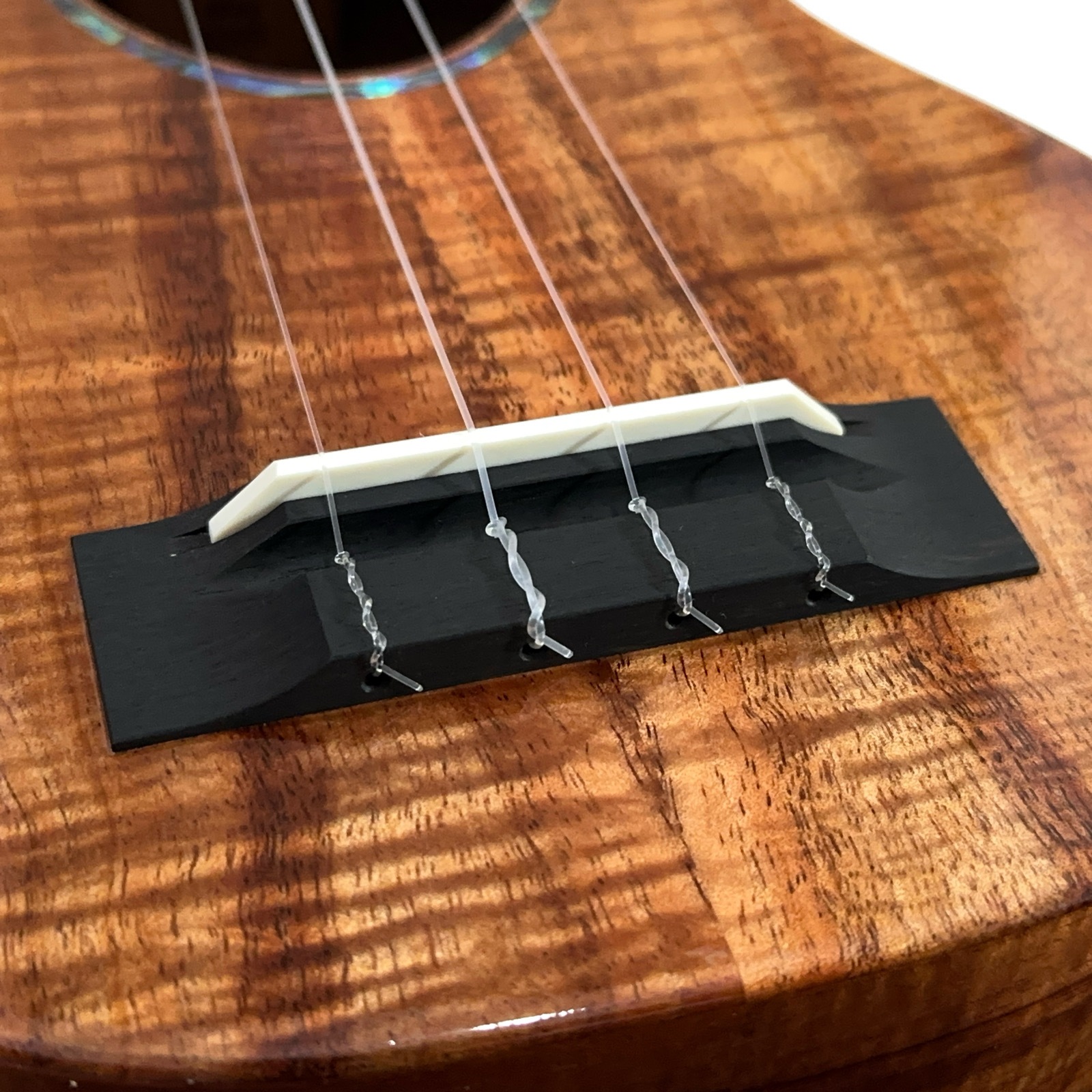 ��KoAloha �� Shen��20th Anniversary ���ץ�Υ�����