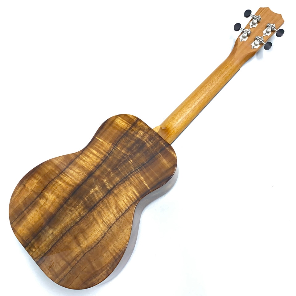 Kanile'aK-1T/PG #28210 ƥʡ