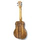 Kanile'aK-1T/PG #28210 ƥʡ