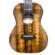 Kanile'aK-1T/PG #28210 ƥʡ