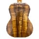 Kanile'aK-1T/PG #28210 ƥʡ