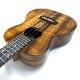 Kanile'aK-1T/PG #28210 ƥʡ