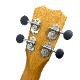 Kanile'aK-1T/PG #28210 ƥʡ