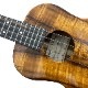 Kanile'aK-1T/PG #28210 ƥʡ