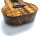 Kanile'aK-1T/PG #28210 ƥʡ