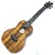 Kanile'aK-1T/PG #28210 ƥʡ