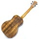 Kanile'aK-1T/PG #28210 ƥʡ