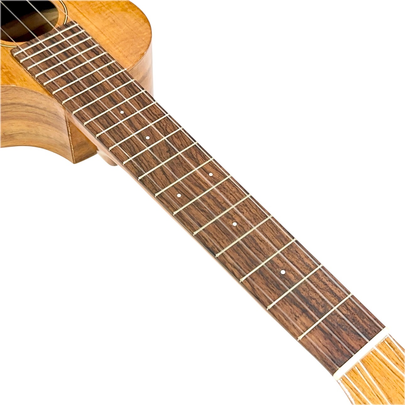 ���ǡ�Famous��FLS-5GC ���ץ�Υ��󥰥ͥå�