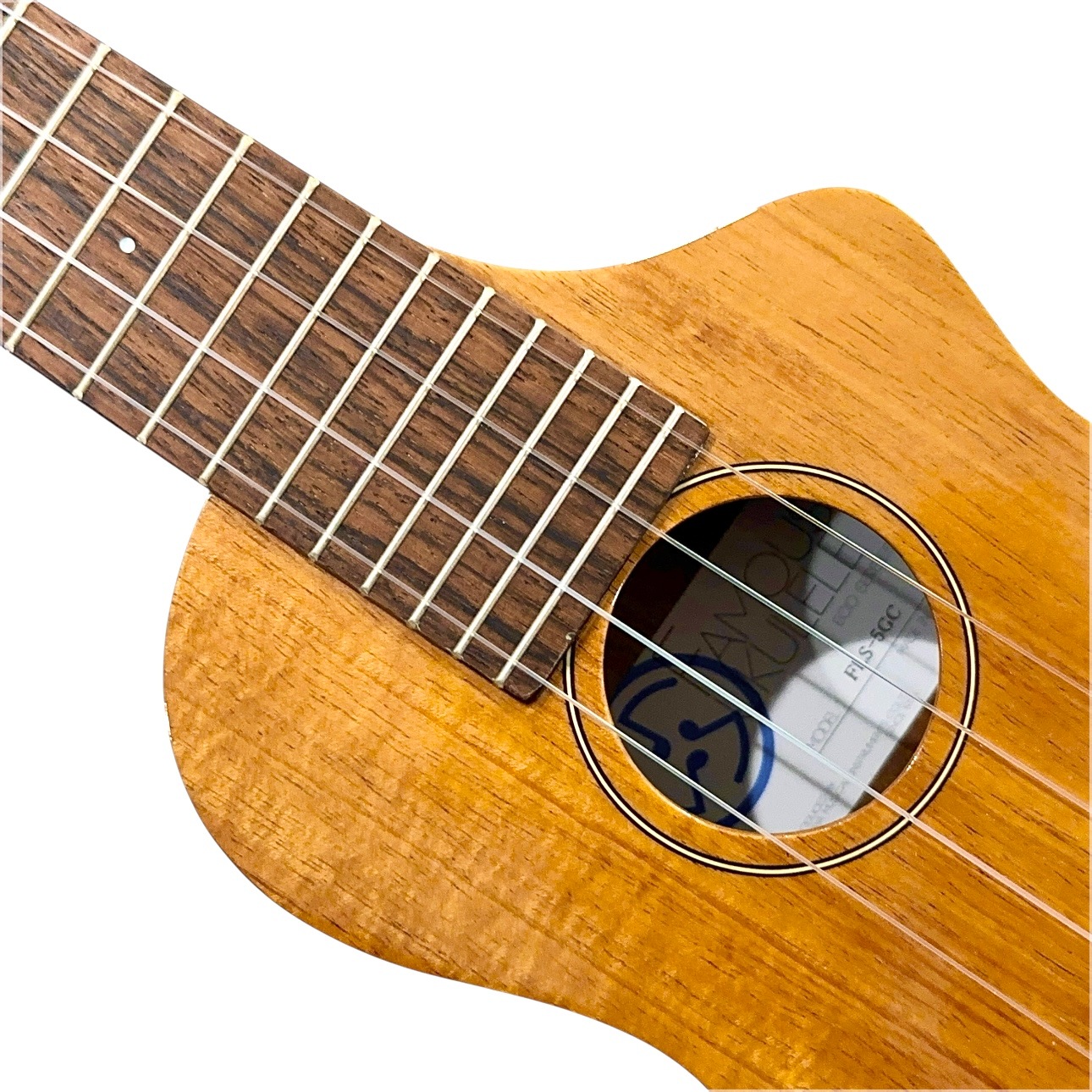 ���ǡ�Famous��FLS-5GC ���ץ�Υ��󥰥ͥå�