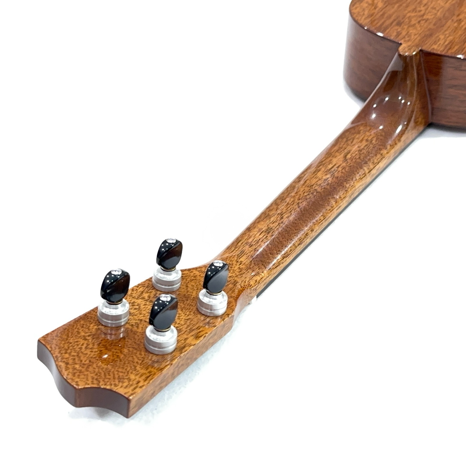 ��KIWAYA��KPC-F M ���󥵡��ȥ�����