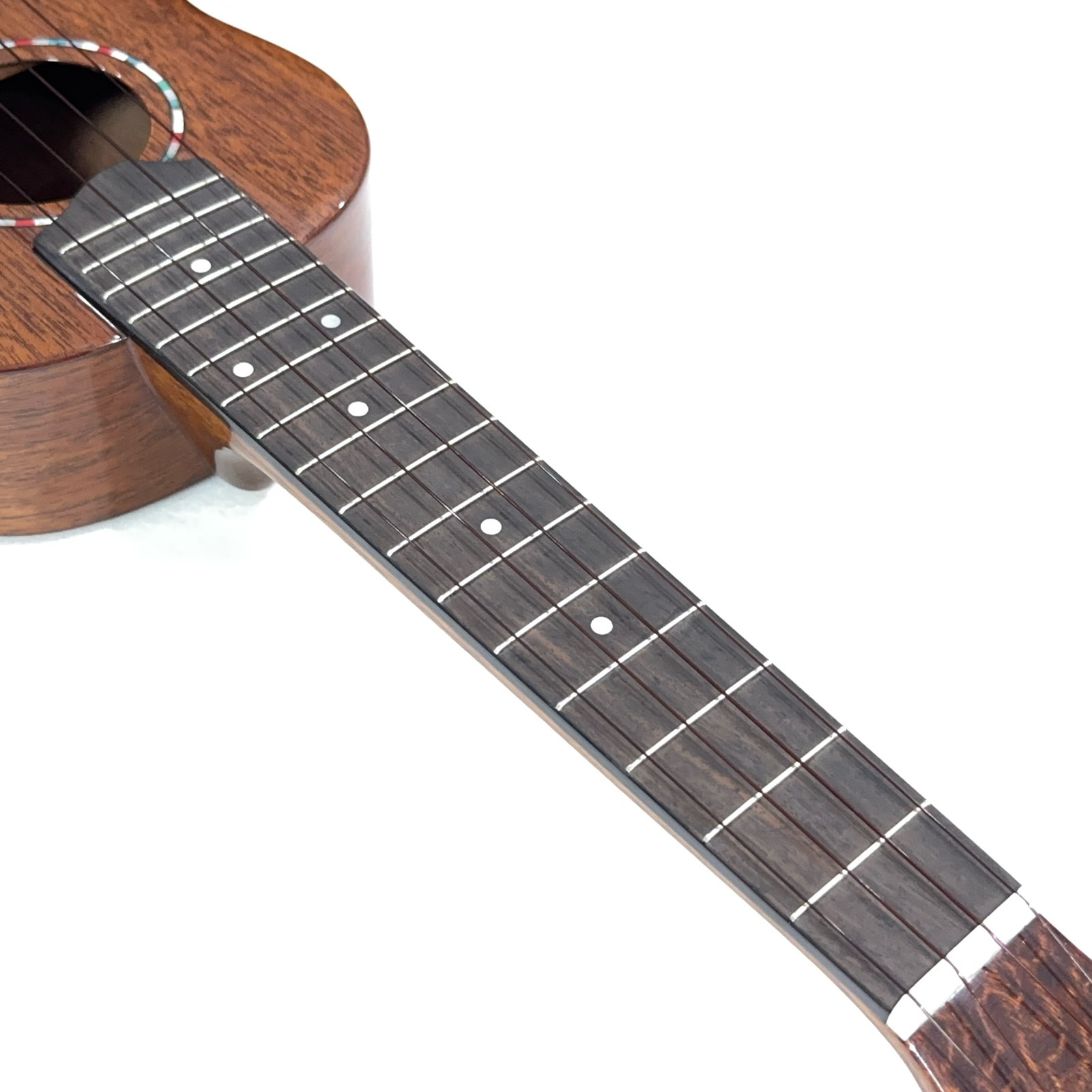 ��KIWAYA��KPC-F M ���󥵡��ȥ�����