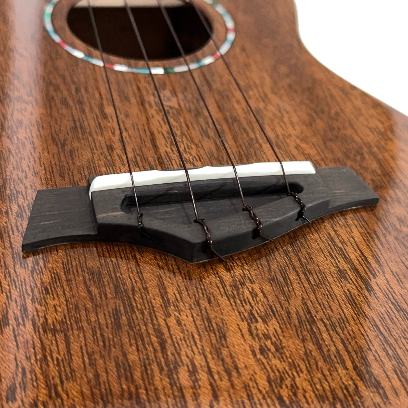 ��KIWAYA��KPC-F M ���󥵡��ȥ�����