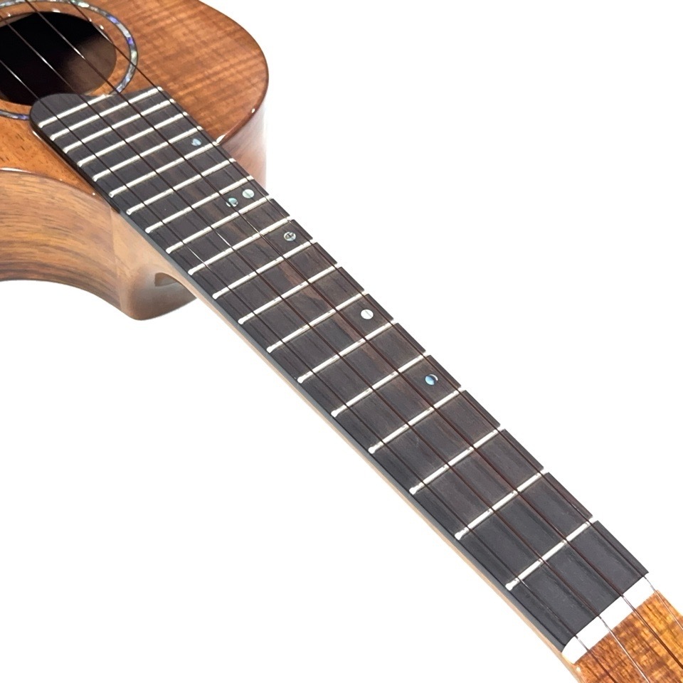 �������KIWAYA��KPC-3KC ���󥵡��ȥ�����