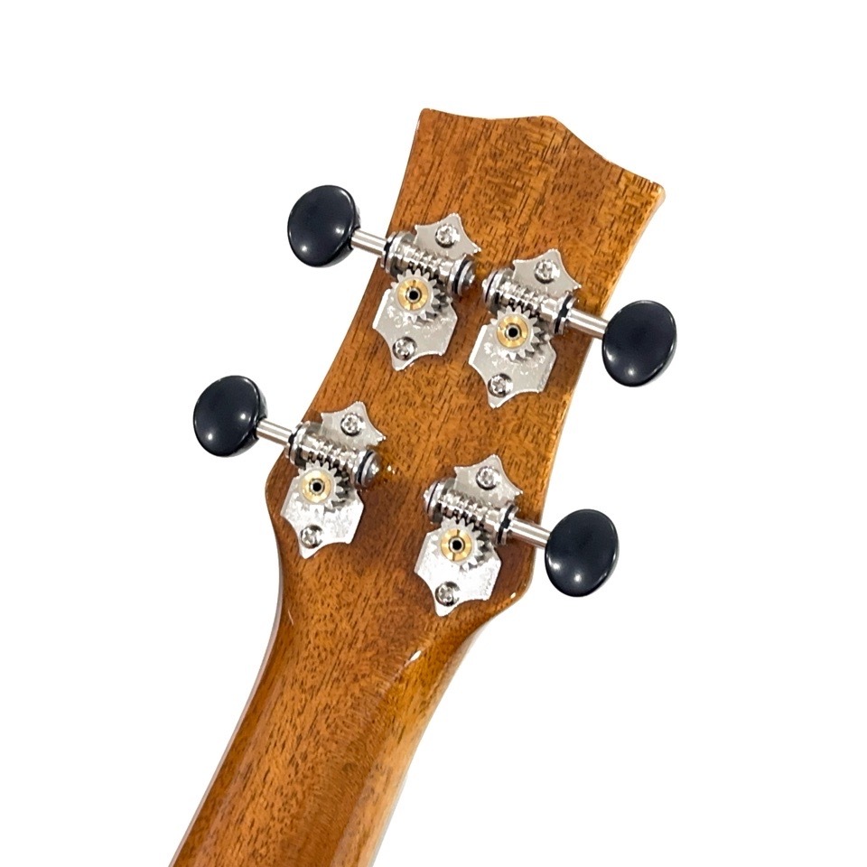 �������KIWAYA��KPC-3KC ���󥵡��ȥ�����