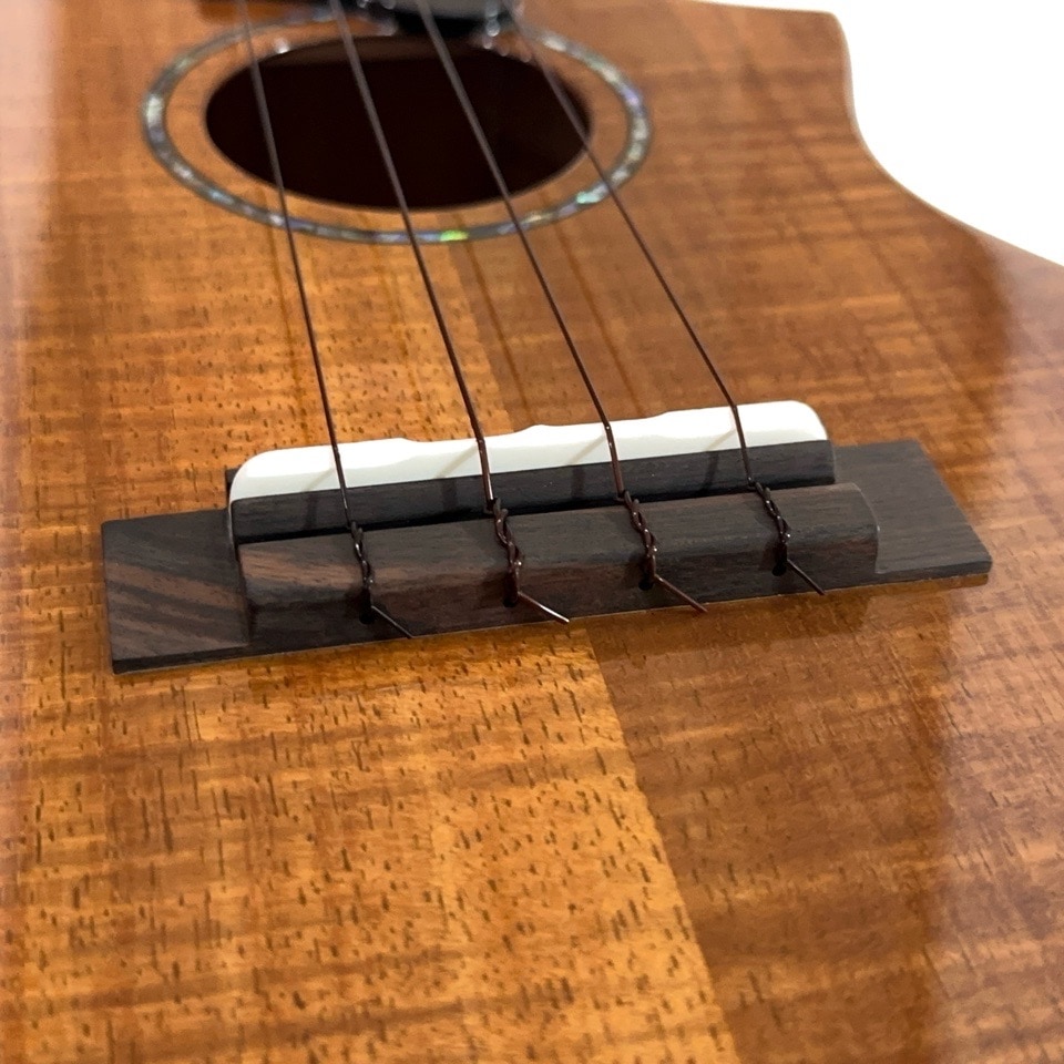 �������KIWAYA��KPC-3KC ���󥵡��ȥ�����