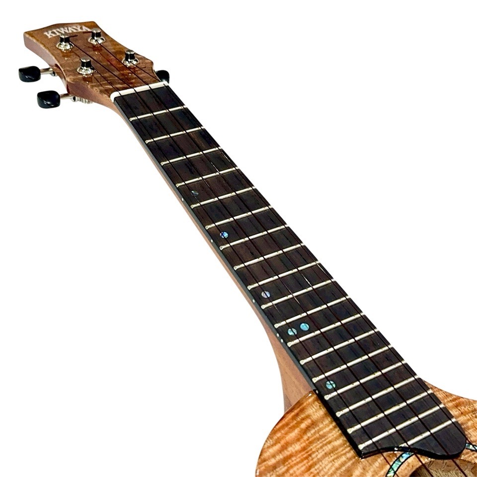 ��KIWAYA��KPC-3MGC ���󥵡��ȥ�����