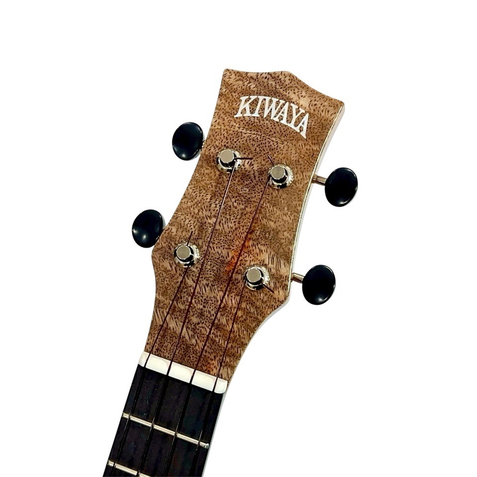 ��KIWAYA��KPC-3MGC ���󥵡��ȥ�����