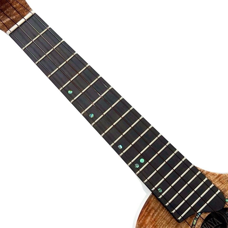 ��KIWAYA��KPC-3MGC ���󥵡��ȥ�����