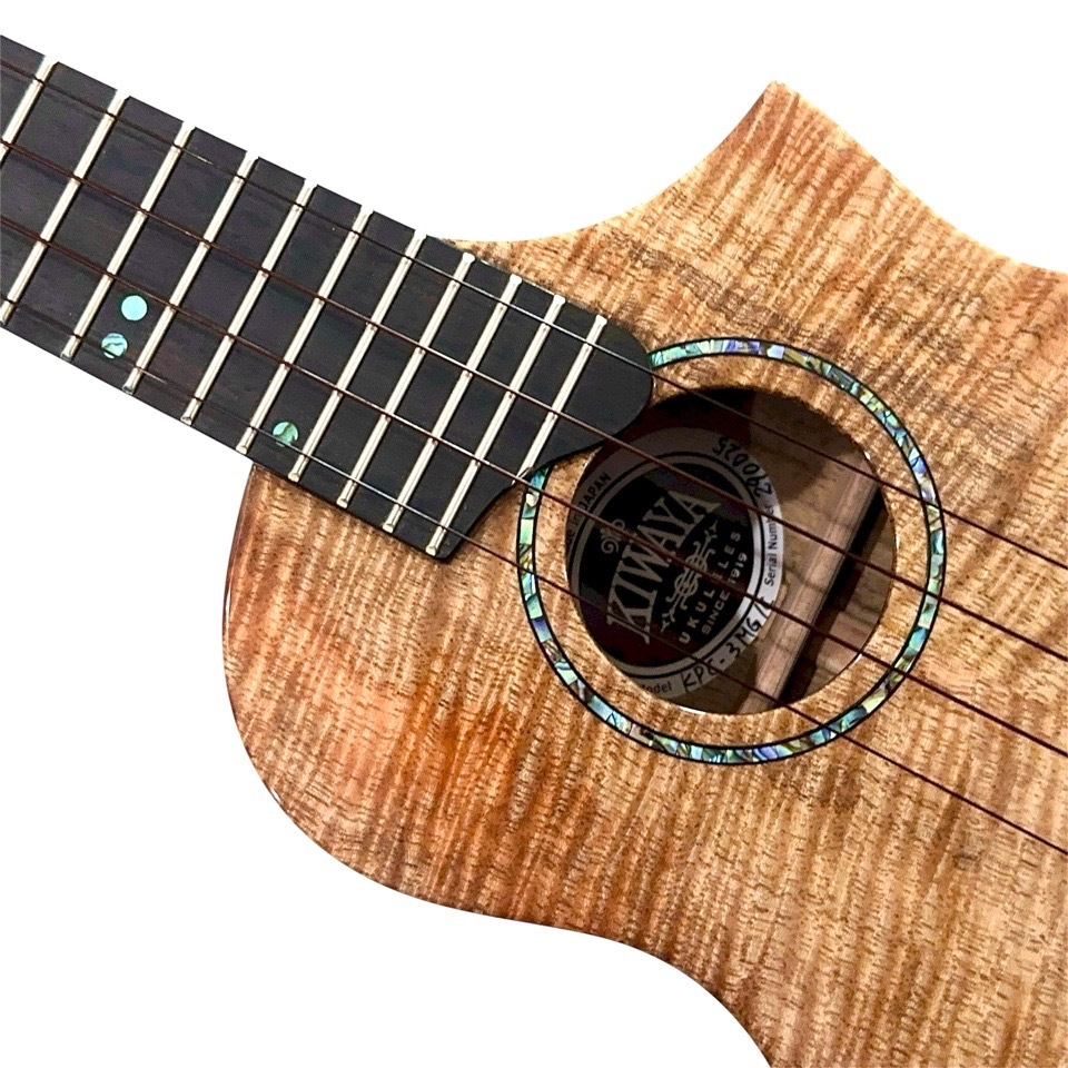 ��KIWAYA��KPC-3MGC ���󥵡��ȥ�����