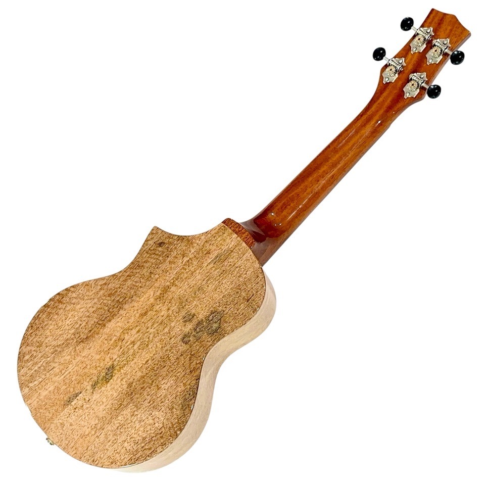 ��KIWAYA��KPC-3MGC ���󥵡��ȥ�����