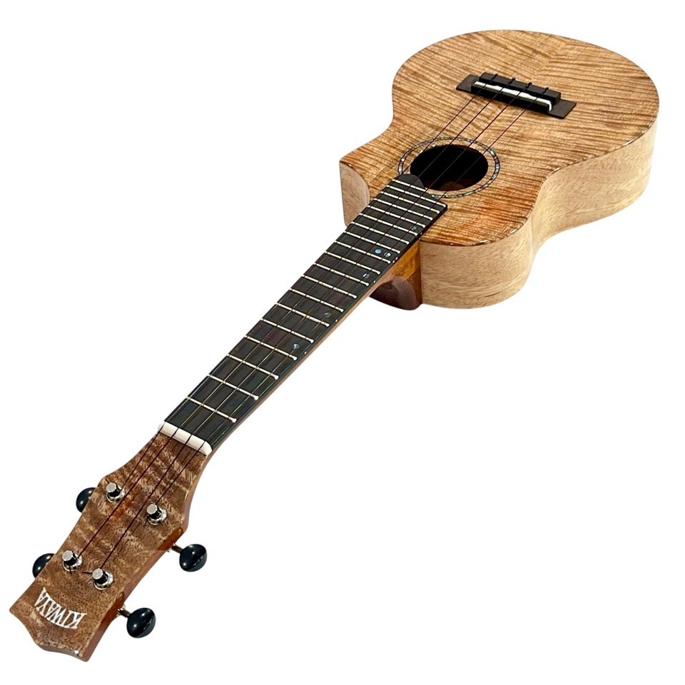 ��KIWAYA��KPC-3MGC ���󥵡��ȥ�����