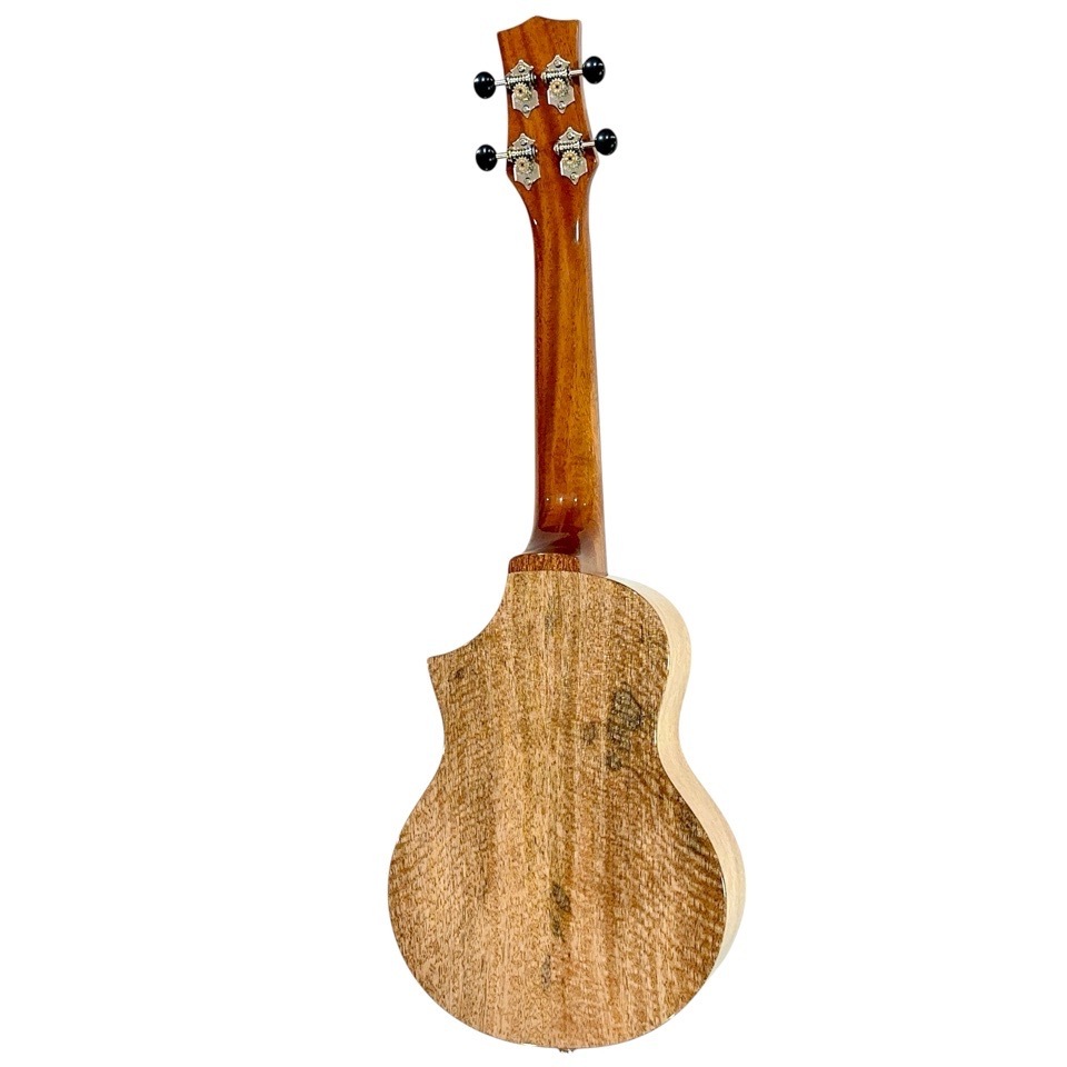 ��KIWAYA��KPC-3MGC ���󥵡��ȥ�����