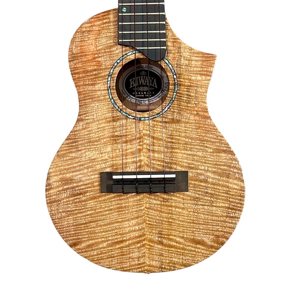 ��KIWAYA��KPC-3MGC ���󥵡��ȥ�����