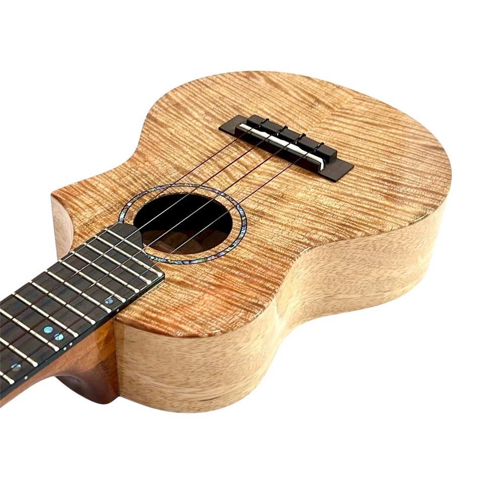 ��KIWAYA��KPC-3MGC ���󥵡��ȥ�����