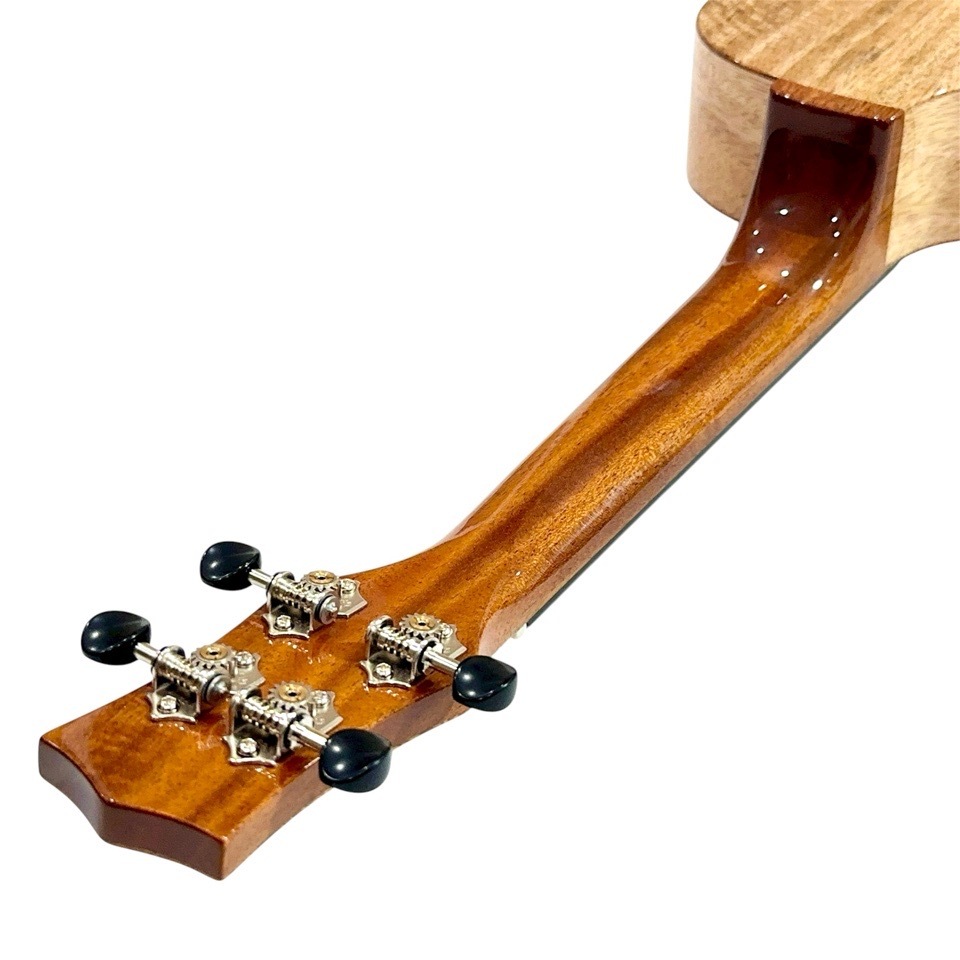 ��KIWAYA��KPC-3MGC ���󥵡��ȥ�����